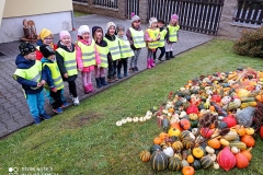 IMG_20211018_102054