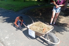 IMG_20220601_100516