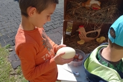 IMG_20220601_101137