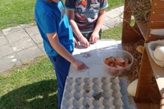 IMG_20220601_101712
