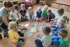 IMG_20220524_095745