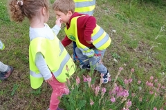 IMG_20220526_110430