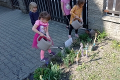 IMG_20220509_103918
