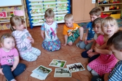 IMG_20220513_081632