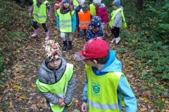 IMG_20221011_105358
