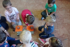 IMG_20221013_083346