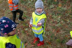 IMG_20221013_105714
