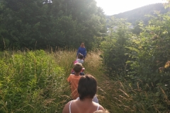 IMG_20220622_185239