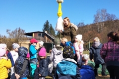 IMG_20220328_111334