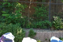 IMG_20220615_093837