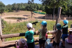 IMG_20220615_102828