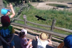 IMG_20220615_102834