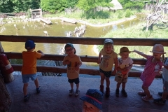 IMG_20220615_103905