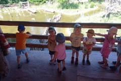 IMG_20220615_103906