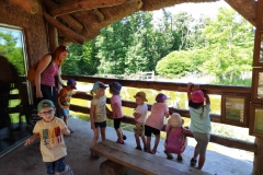 IMG_20220615_103949