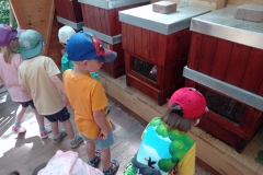 IMG_20220615_105240