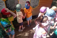 IMG_20220615_105404