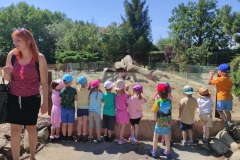 IMG_20220615_110118