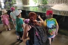 IMG_20220615_110401
