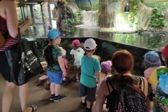 IMG_20220615_110407