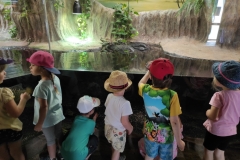 IMG_20220615_110418