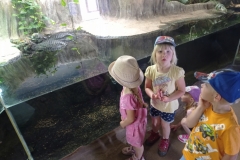 IMG_20220615_110507