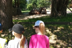 IMG_20220615_110553