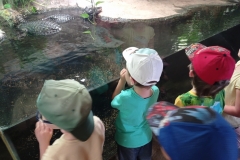 IMG_20220615_110556