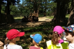 IMG_20220615_110607