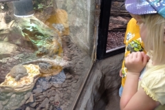 IMG_20220615_110910