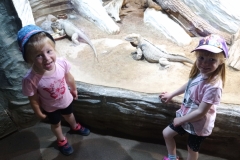 IMG_20220615_111005