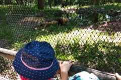 IMG_20220615_111509