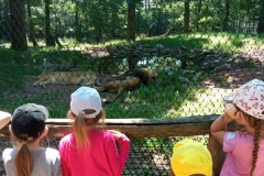 IMG_20220615_111525