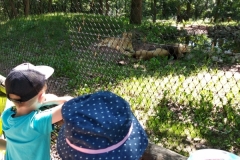 IMG_20220615_111553