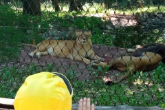 IMG_20220615_111605