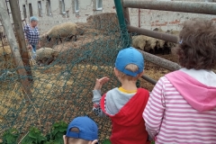 IMG_20220602_090024