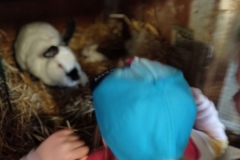 IMG_20220602_090738
