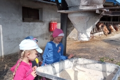 IMG_20220602_093348