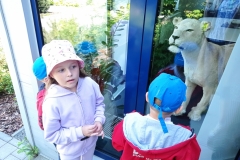 IMG_20220602_111305