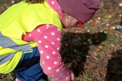 IMG_20231004_105127