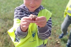 IMG_20231004_105400