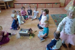 IMG_20231013_081845