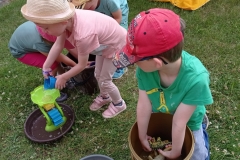 IMG_20230623_104408