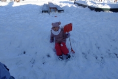 IMG_20231204_111102