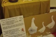 IMG_20231110_060231