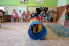IMG_20231026_093012