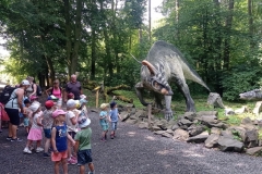IMG_20230622_102921