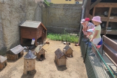 IMG_20230622_132405
