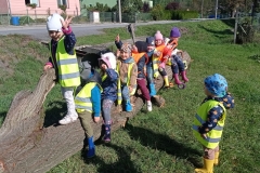 IMG_20241001_110536