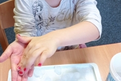 IMG_20250128_084129